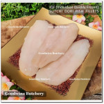 Fish DORI sutchi fillets IQF brand NASUBA Medan NBL 300-400 +/- 11" 28cm/pc - REPACKED (price/pack 700g 2pcs)